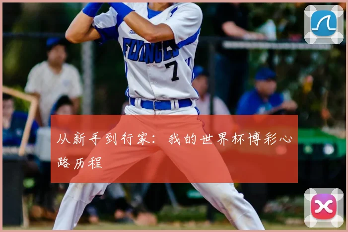从新手到行家:我的世界杯博彩心路历程