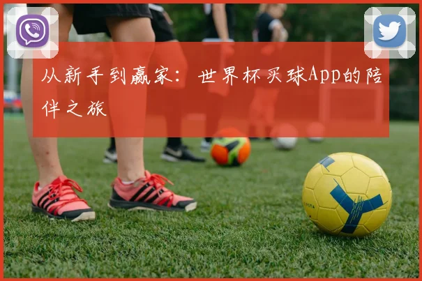 从新手到赢家:世界杯买球App的陪伴之旅