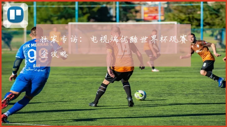 独家专访：电视端优酷世界杯观赛全攻略