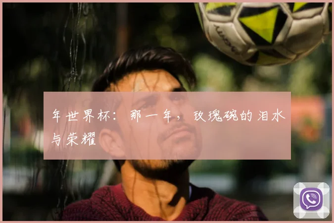 年世界杯：那一年，玫瑰碗的泪水与荣耀