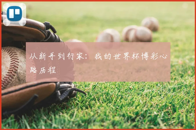 从新手到行家:我的世界杯博彩心路历程