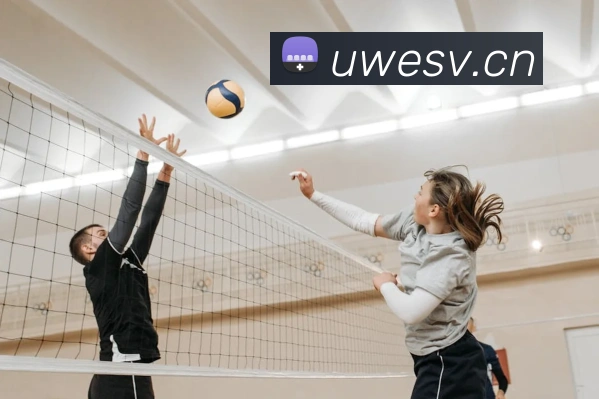 乐竞在线登录入口平台生态图